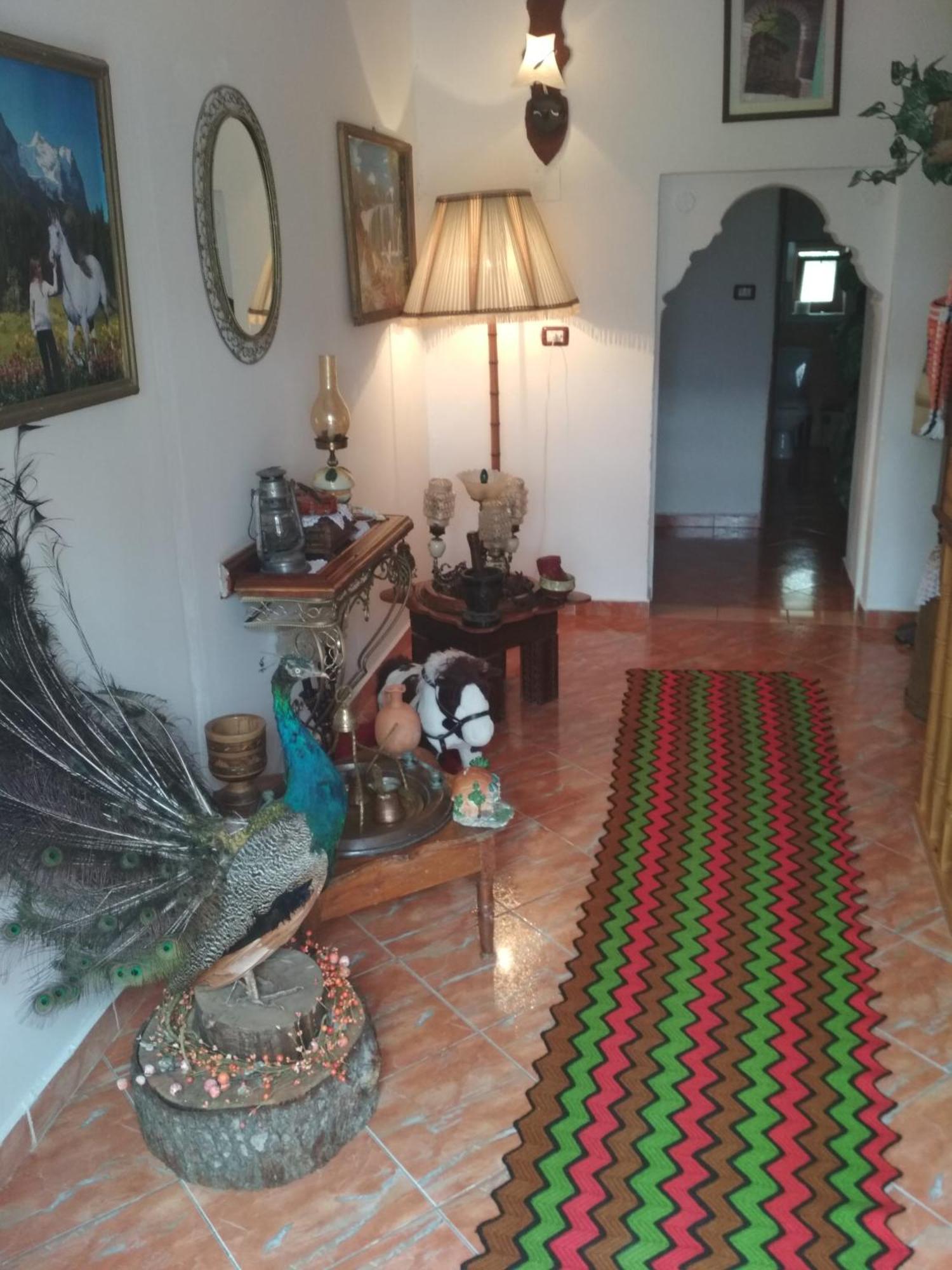 Karafil Guesthouse จีโรคาสเตอร์ ภายนอก รูปภาพ