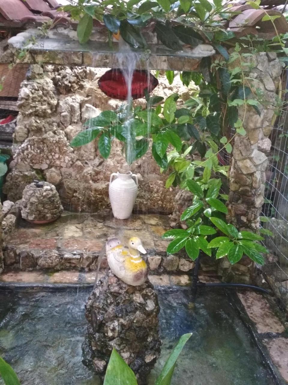 Karafil Guesthouse จีโรคาสเตอร์ ภายนอก รูปภาพ
